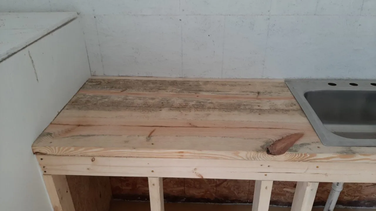 Mycotoxins and Mold