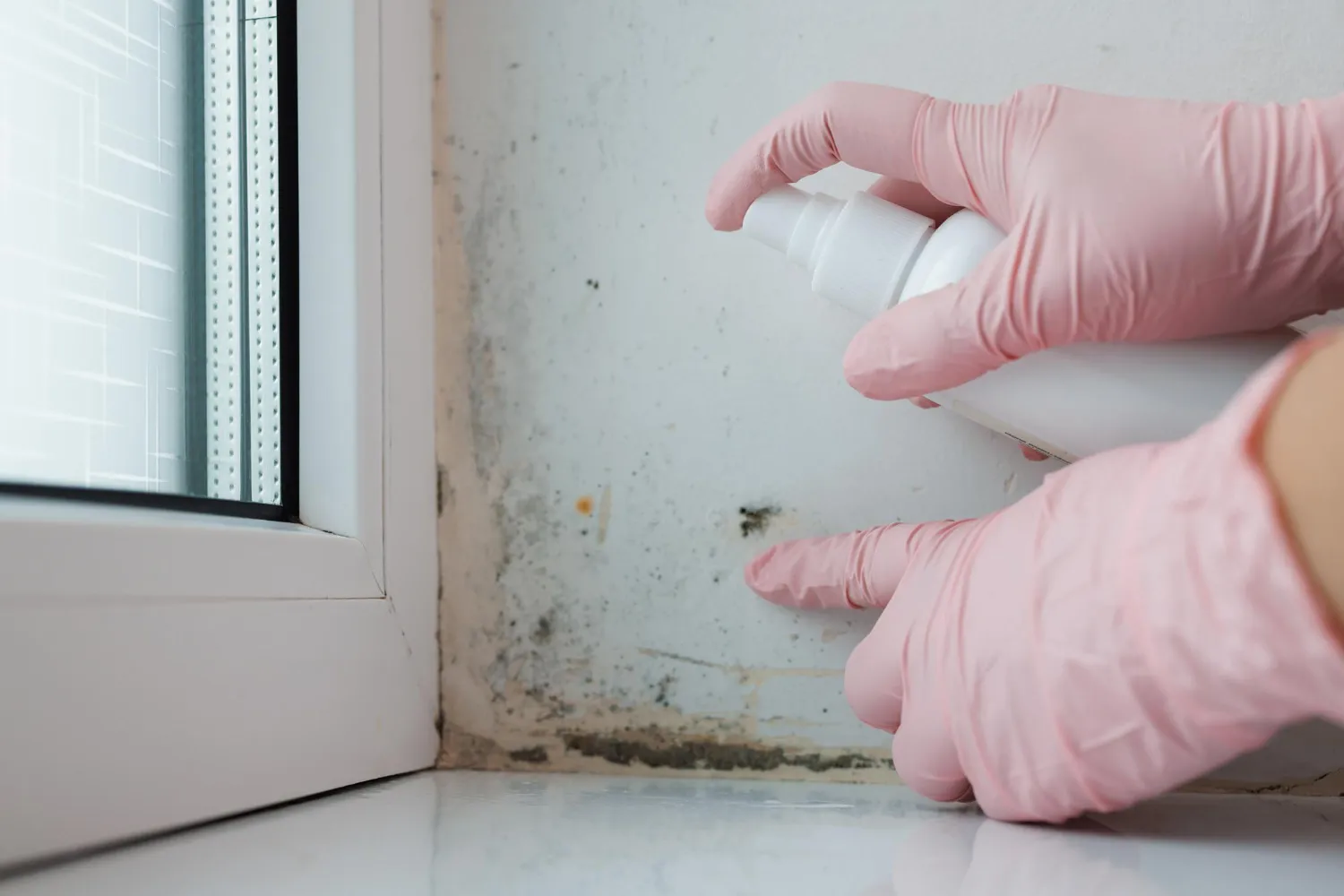 Why Not to Use Bleach to Treat Mold