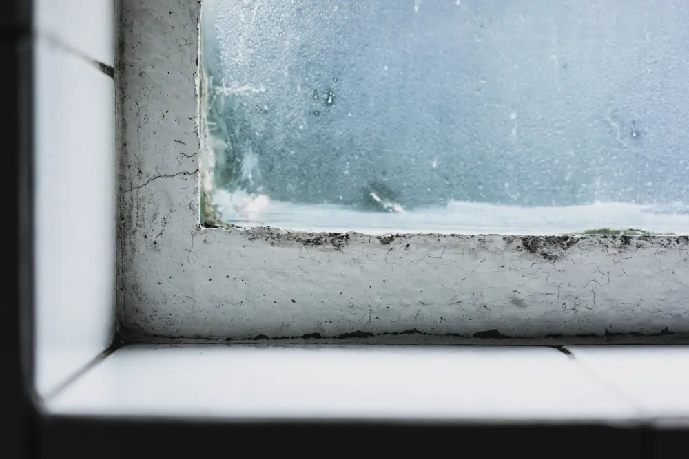 How to Prevent Mold as Humidity Levels Rise